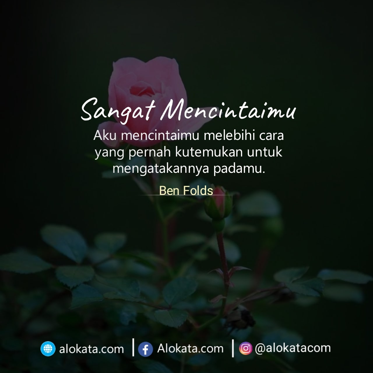 74+ Kata Bijak Tentang Cinta Paling Romantis dan Inspiratif